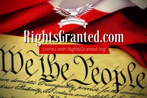 rights granted domain name
